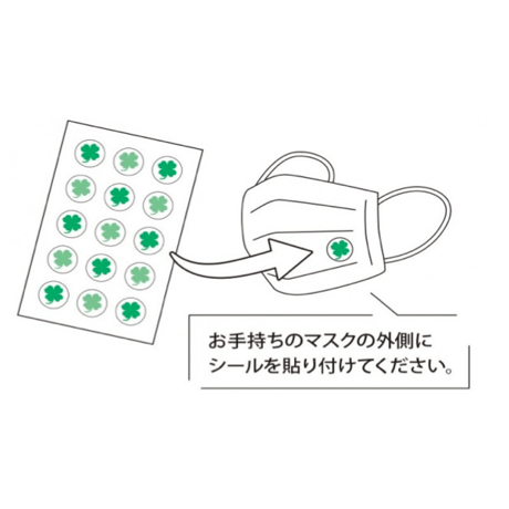 【パストリーゼヘッド無(1L)/超立体マスク(1層/100枚入)】セット