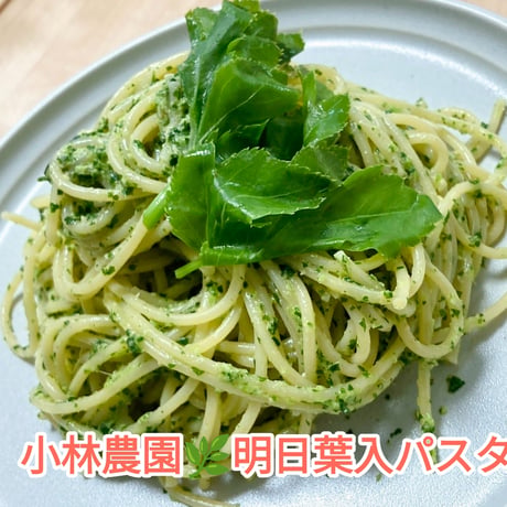 リクエスト対応！送料込み！🌊伊豆大島産🍀明日葉🍀