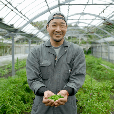 🌶TARO'sさんの青唐ギフト🌶 4点セット ※他商品との同梱包不可※