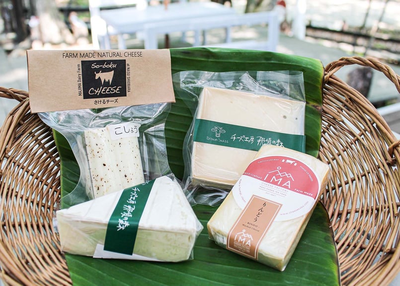 TOO cheeseTOOgether ジスセット TOO cheeseTOOgether ジスセット