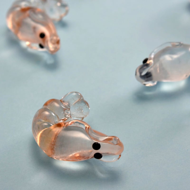 白エビ/勝木竜二 | SOUVENIR TOYAMA GLASS STUDIO