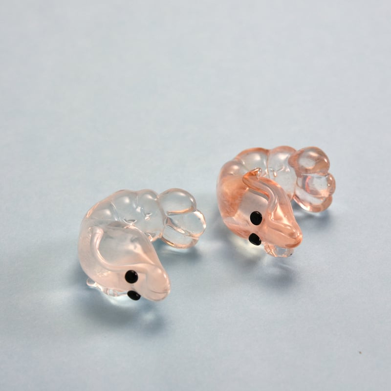 白エビ/勝木竜二 | SOUVENIR TOYAMA GLASS STUDIO