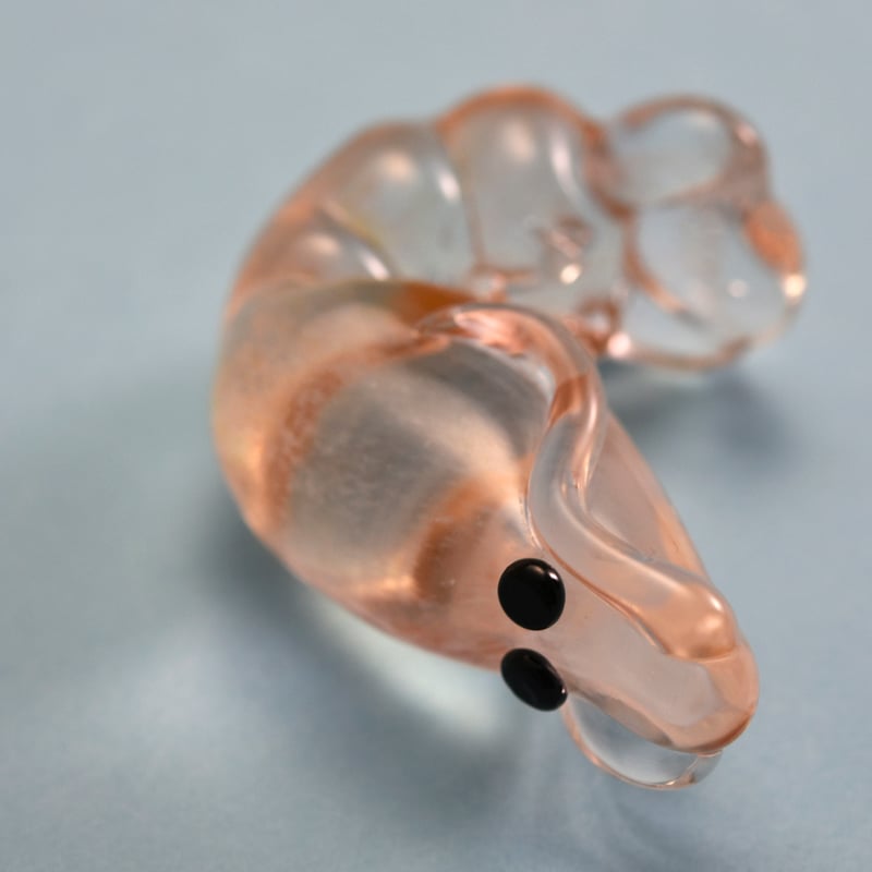 白エビ/勝木竜二 | SOUVENIR TOYAMA GLASS STUDIO