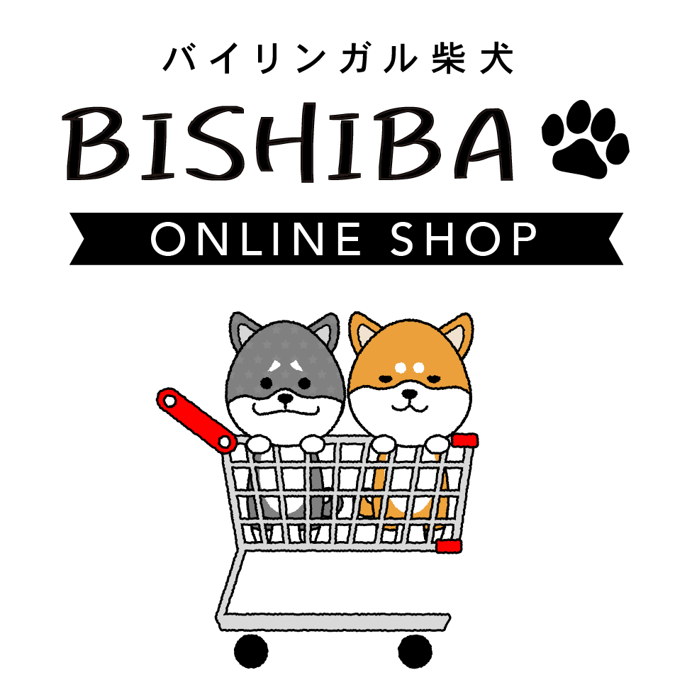 Bishiba Stores