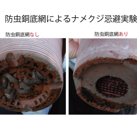 防虫銅底網(N-44)3個入