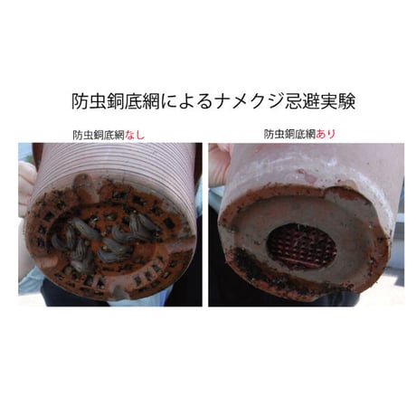防虫銅底網(N-60)3個入