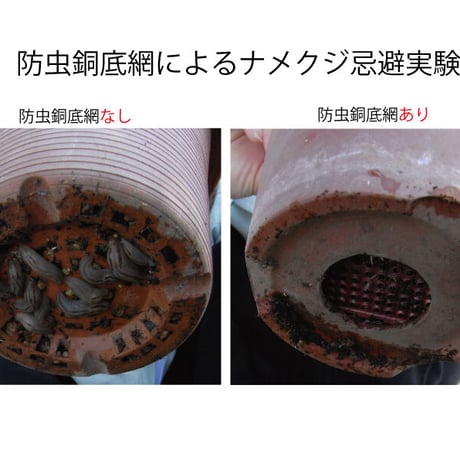 防虫銅底網(NC-55)3個入