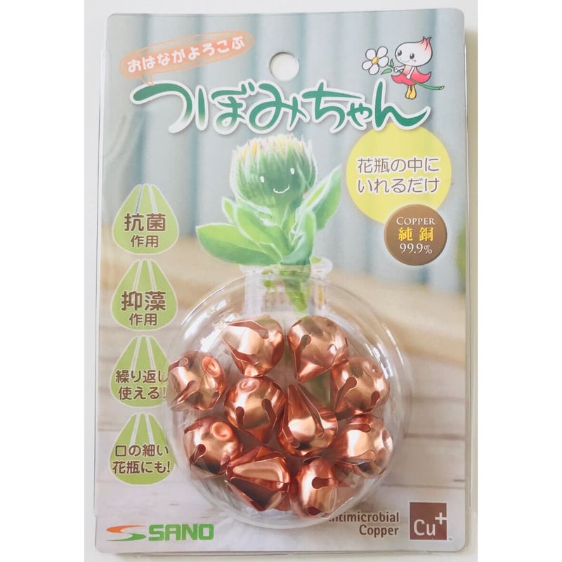 よんちゃん専用 パキポディウム二本セット よんちゃん専用