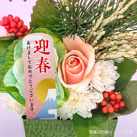 お花のラベルＥ　花苗・野菜苗用挿しラベル　無地A4用紙10面付【20ｼｰﾄ入/200枚分】