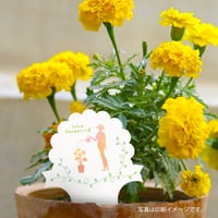 お花のラベルＫ　花苗・野菜苗用挿しラベル　無地A4用紙8面【20ｼｰﾄ入/160枚分】