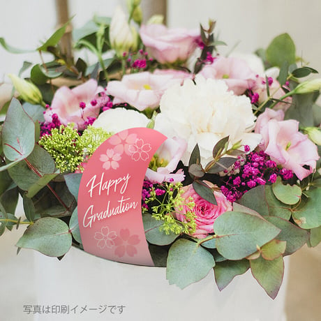 お花のラベルＦ　花苗・野菜苗用挿しラベル　無地A4用紙8面【20ｼｰﾄ入/160枚分】