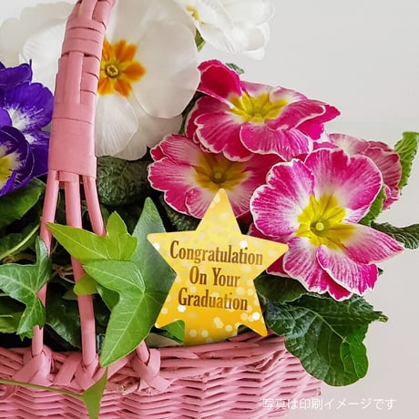お花のラベルＪ　花苗・野菜苗用挿しラベル　無地A4用紙8面【20ｼｰﾄ入/160枚分】