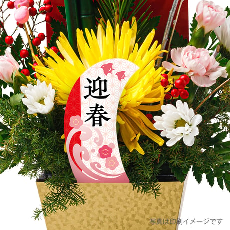 お花のラベルＦ　花苗・野菜苗用挿しラベル　無地A4用紙8面【20ｼｰﾄ入/160枚分】
