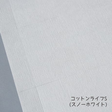 名刺カード・ショップカード　Ａ４無地用紙【１0シート単位】