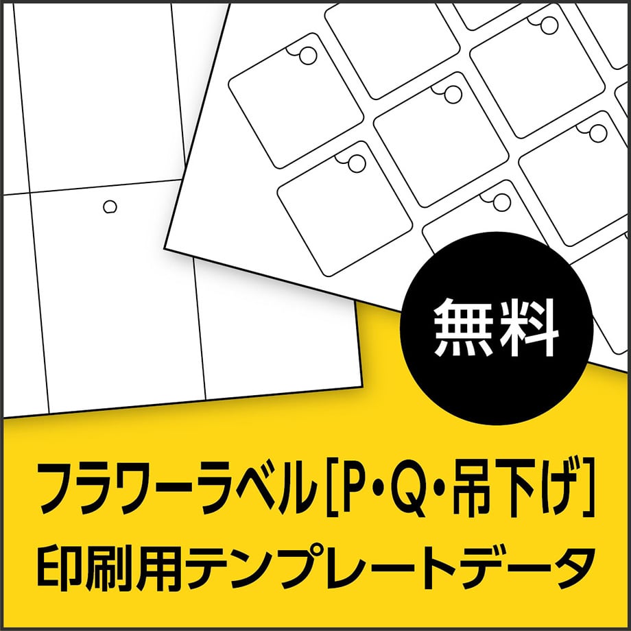 6a226bc63a6cff006a9a9e1c