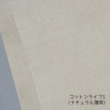 名刺カード・ショップカード　Ａ４無地用紙【１0シート単位】