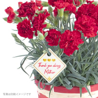 お花のラベルＱ　花束吊下げラベル　無地A4用紙14面付【20ｼｰﾄ入/280枚分】