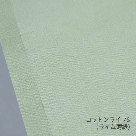 名刺カード・ショップカード　Ａ４無地用紙【１0シート単位】