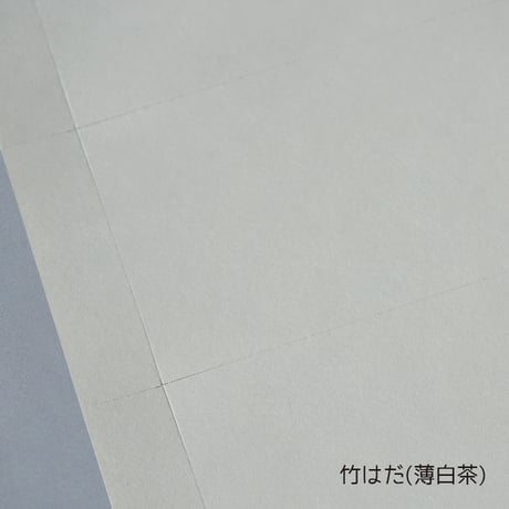 名刺カード・ショップカード　Ａ４無地用紙【１0シート単位】