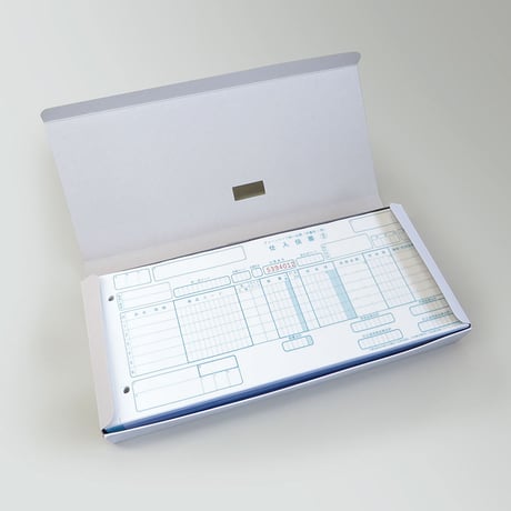 チェーンストア統一伝票　手書用1型Noあり【100ｾｯﾄ】