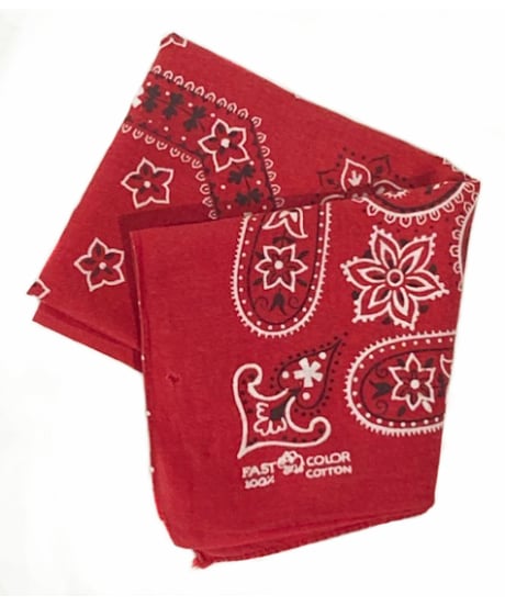 Elephant Brand Paisley Bandana【VTG-BDN001】