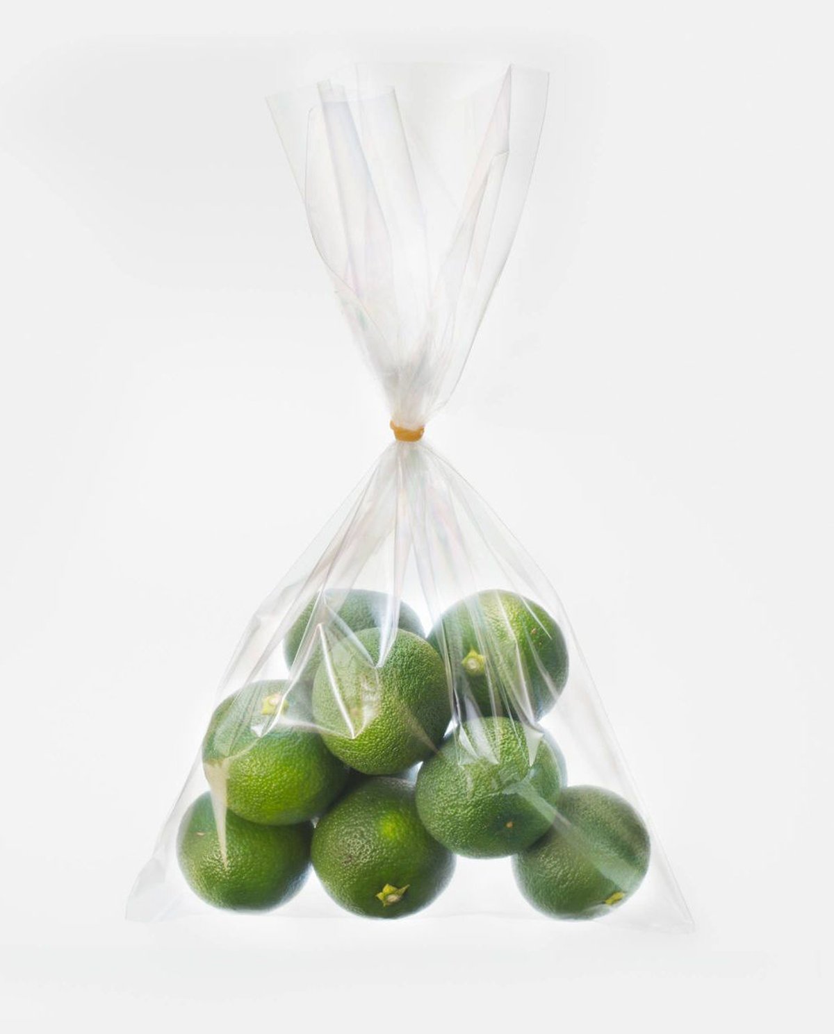 冷蔵】神山町産すだち 10kg AB 果物（talentfactoryaustralia.com.au）