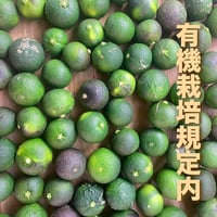 期間限定！加工用C玉すだち"5kg"(有機栽培基準内)
