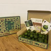 贈答用におすすめ！ 秀品 すだち