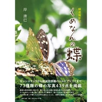 くめなんの蝶  蝶遊撮影記
