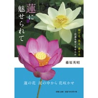 蓮に魅せられて  育てる、見る、食する―花蓮を育てませんか