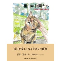 里山の仲間たち  岡山市北区芳賀の散歩道