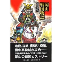 岡山戦国物語