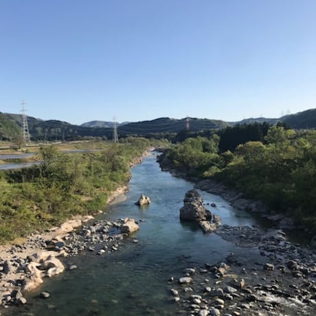 限定・熊の油(くまのあぶら）無添加・天然のハンドクリーム