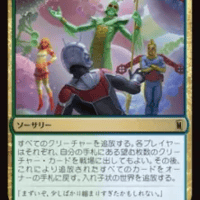 エンスカイ]プレイヤーカードスリーブ「統率者レジェンズ」 | 花唐草