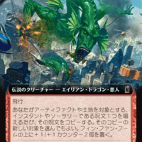 フィン・ファン・フーム,MSH,JPN,FOIL/拡張アート