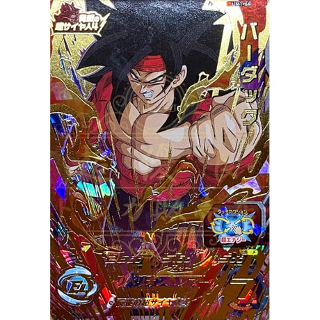 バーダック | STORES