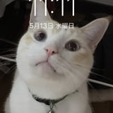 いっきゅう21c's- STORE
