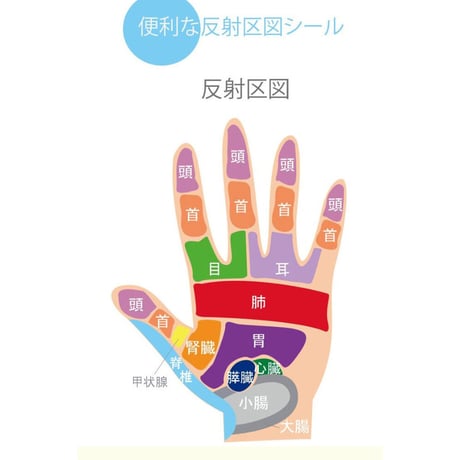 シャンテ
