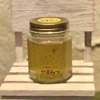 六甲山ミツバチ　アカシア