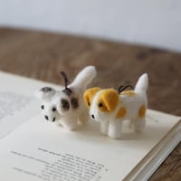 コロコロわんこ