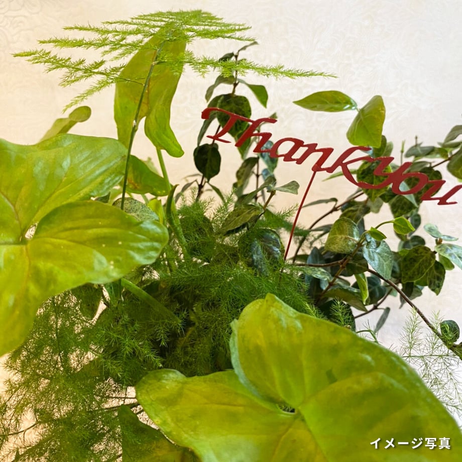625fccf1c9883d4694b23eb3
