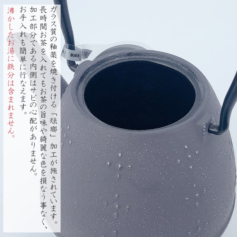 岩鋳 急須らいす （ 黒 ／ グレープ ／ヨーロッパブルー ／ グレー