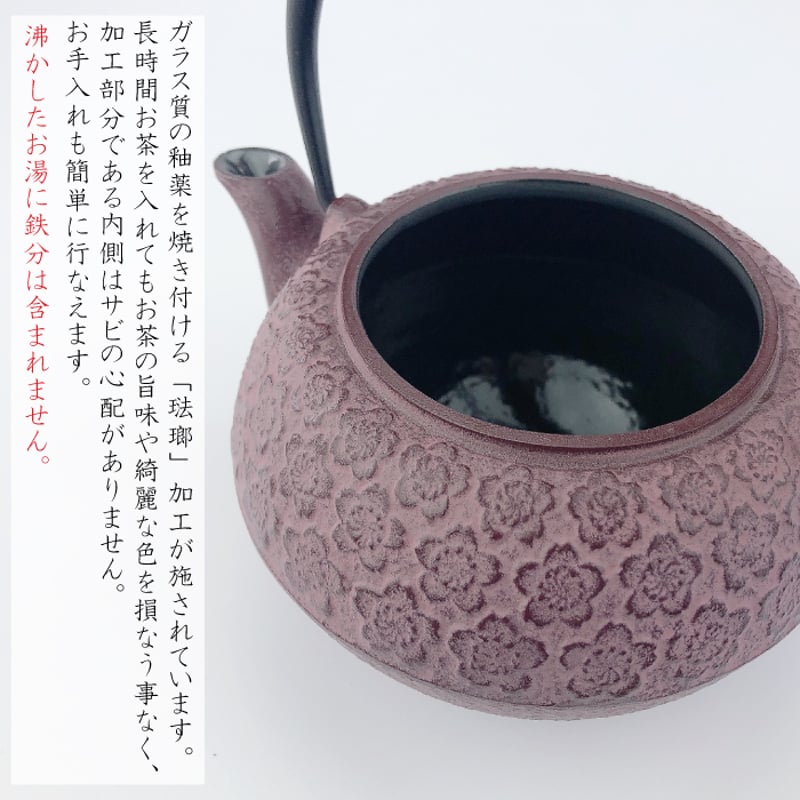 急須 特急:須磨浦公園行 阪神本線、8244f⁡ ⁡⁡ ⁡撮影日:2月20日⁡ ⁡撮影