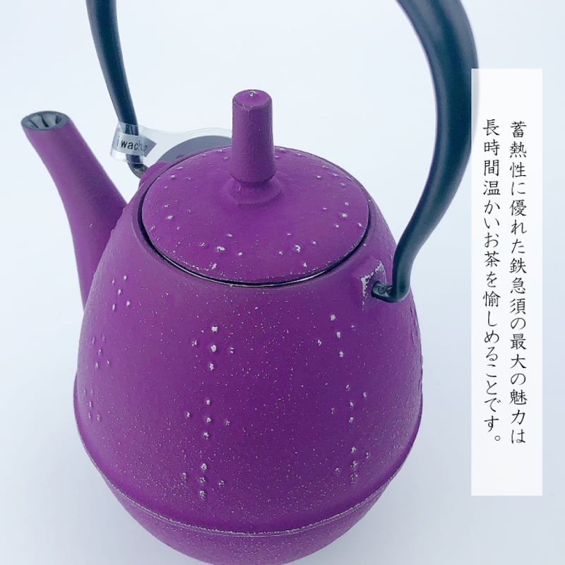 岩鋳 急須らいす （ 黒 ／ グレープ ／ヨーロッパブルー ／ グレー