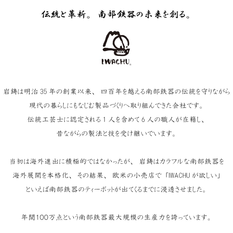 岩鋳 鉄瓶兼用急須3型新亀甲 六角亀甲（小）釜敷きセット | IZUMIYA