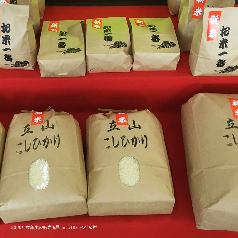 令和5年産 富山県産こしひかり10キロ×2袋 ひぞっこ倶楽部 パール