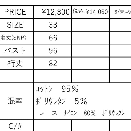 26AW予約アイテム　ayane.(アヤン)レースドッキングフレアロンT(ボックス)