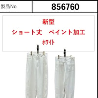 26AW予約アイテム　ayane.（アヤン）ホワイトデニムバレルレッグペイント加工パンツ