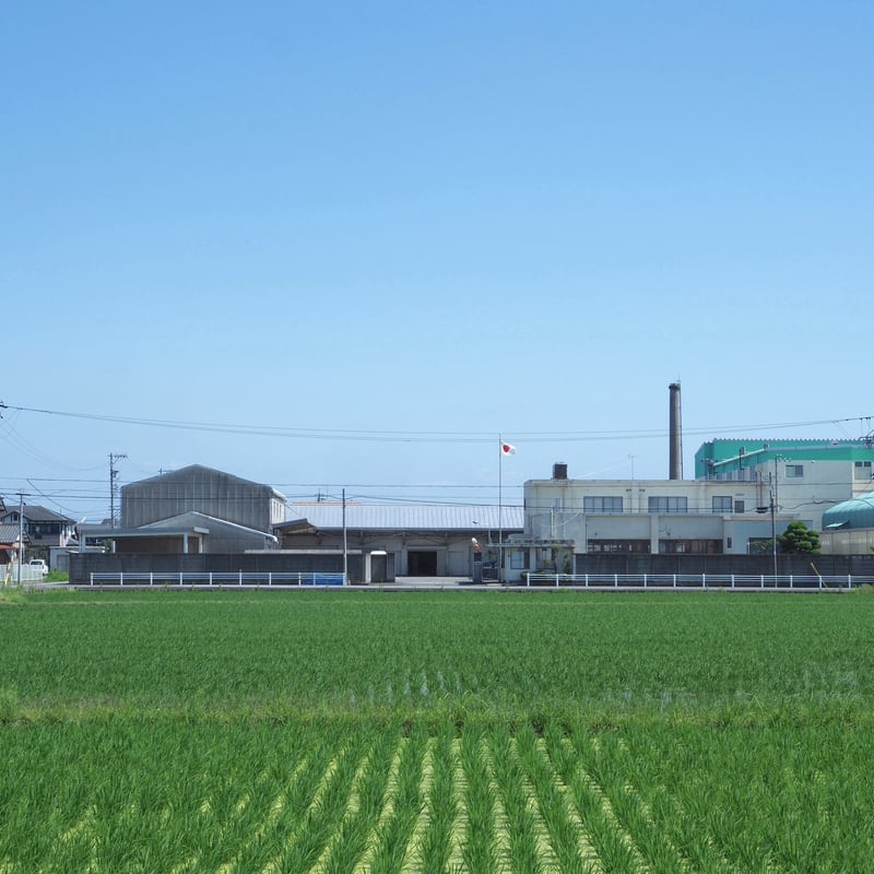 奇妙礼太郎 クリスマスLIVE 2025 チケット | 新見本工場 オンラインストア