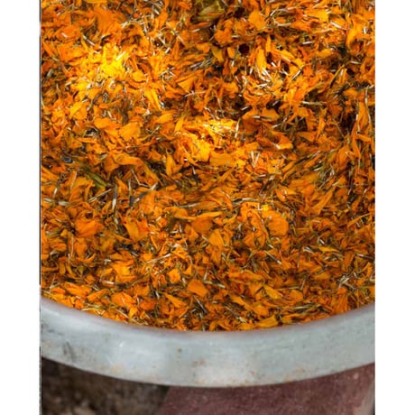 手織りラグ ボーダー柄 玄関・リビング 80x120cm Marine (マリン) | Tikau